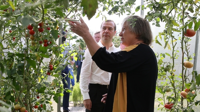 Визит Медведева в Курск: в России может появиться День садовода